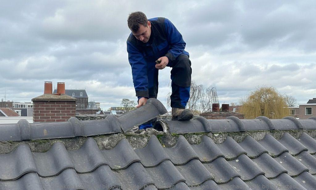 Dakdekker Inschakelen Stormschade Wijk Bij Duurstede