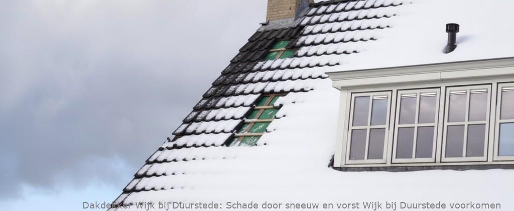 Schade Door Sneeuw En Vorst Wijk Bij Duurstede