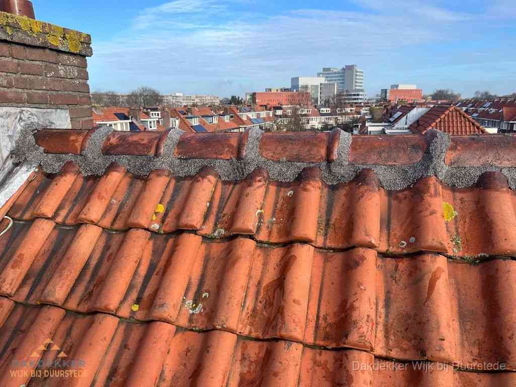 Wijkbijduurstede Daken Renoveren